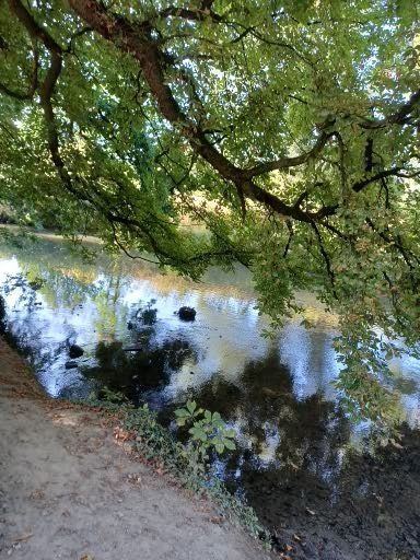 Overhangende boomtakken omlijsten een kalme rivier, die de lucht en het groen weerspiegelt; een pad loopt erlangs.