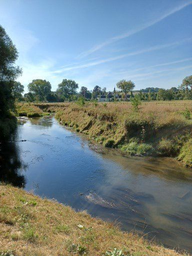 Een rivier kronkelt door een grasveld onder een blauwe hemel, met bomen langs de oevers.