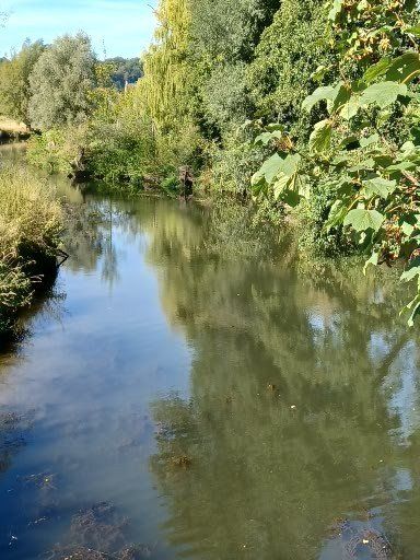 Een rivier met spiegelend water, omzoomd door groene bomen en gebladerte onder een blauwe hemel.