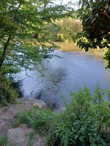 Rivierlandschap met groene begroeiing en een bewolkte hemel. Het wateroppervlak weerkaatst het licht.