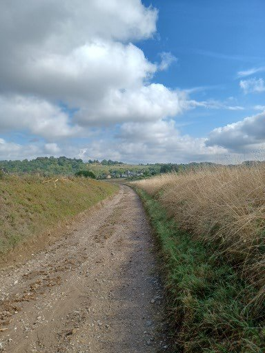 Een zandpad door grasvelden leidt naar een afgelegen dorp onder een blauwe hemel met pluizige witte wolken.