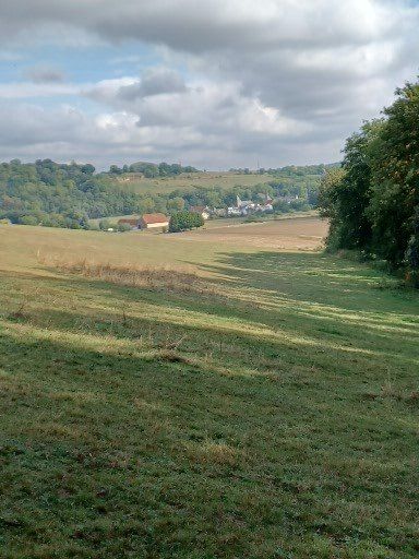 Een groen veld dat overgaat in een landelijk dorp onder een bewolkte hemel. Aan de rechterkant staan bomen, in de verte zijn gebouwen te zien.