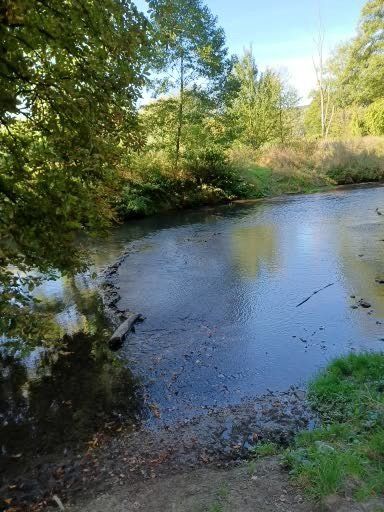 Een rustige rivier stroomt door een bosrijk gebied; bomen staan langs de oevers, met hier en daar zonnige plekjes.