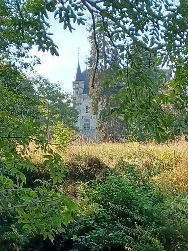 Kasteel gedeeltelijk verborgen door begroeiing, zichtbaar boven de weide. Licht stenen gebouw met torentjes en bomen.