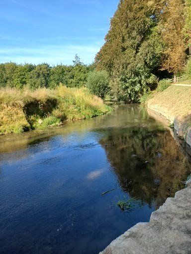 Op een zonnige dag stroomt een rivier door een park. Langs het water staan bomen en grasrijke oevers.