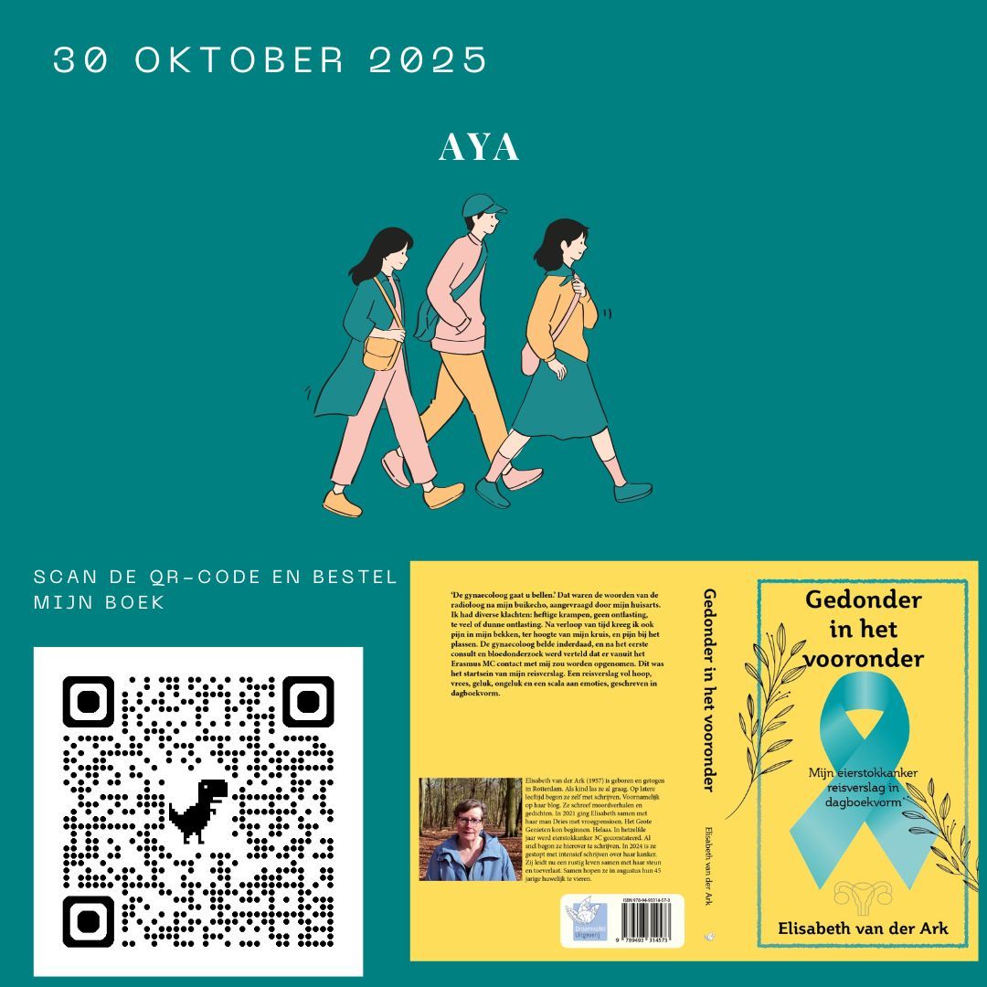 Heb jij mijn boek al besteld? Doen hoor... Poster voor een boek: Drie figuren lopen, titel