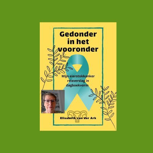 Heb jij mijn boek al besteld? Doen hoor... Book cover, yellow background, teal ribbon, woman's portrait, Dutch title: