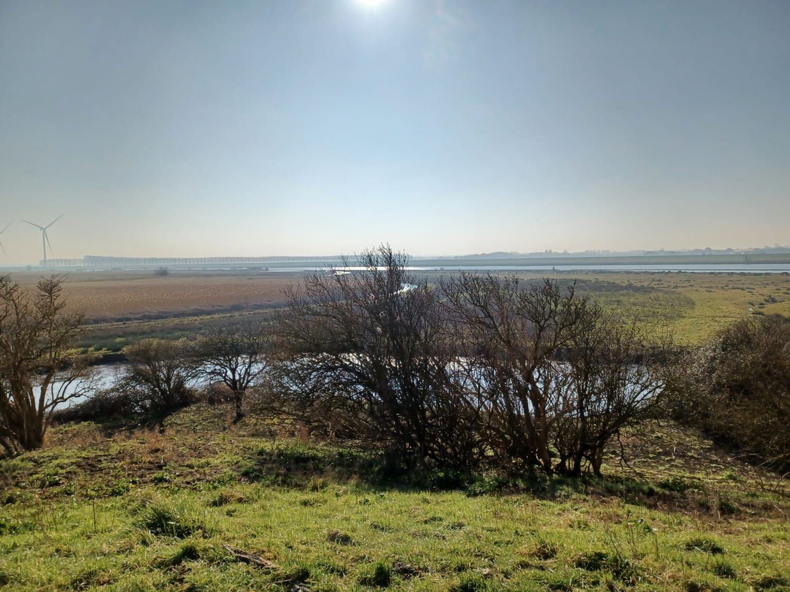 Groene heuvel met uitzicht op een moerassig landschap met water en in de verte windturbines onder een wazige zon.