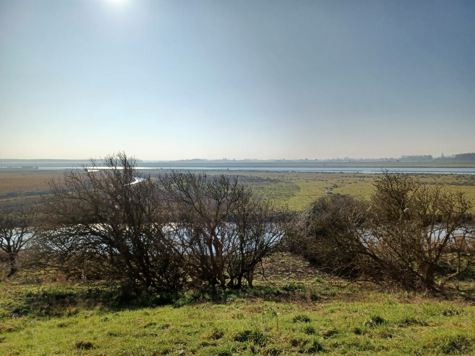 Een grasveld met uitzicht op een brede rivier onder een helderblauwe hemel. Lage, bladerrijke bomen op de voorgrond.