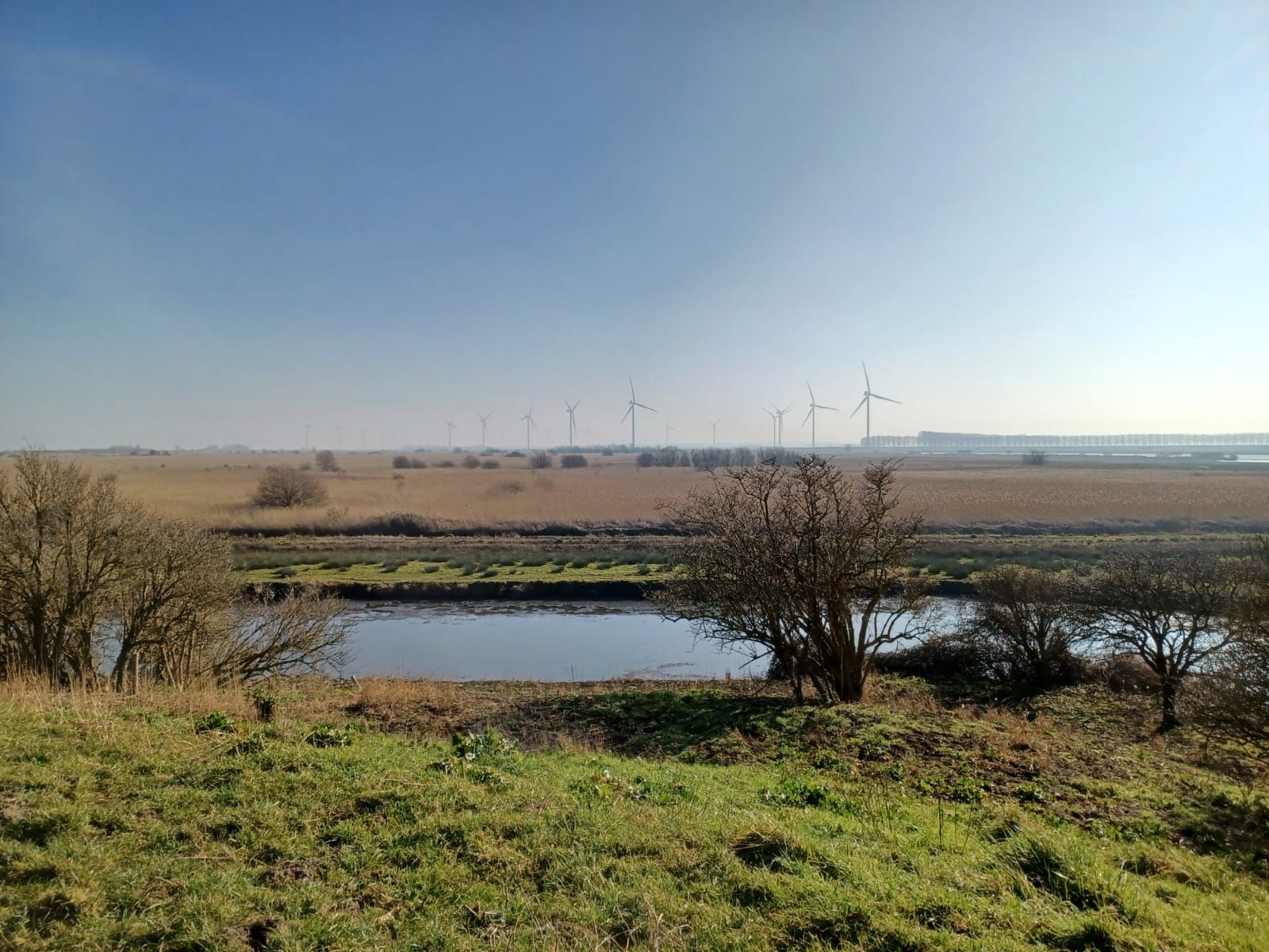 Een landschap met een vijver en velden, met windmolens aan de horizon onder een helderblauwe hemel.