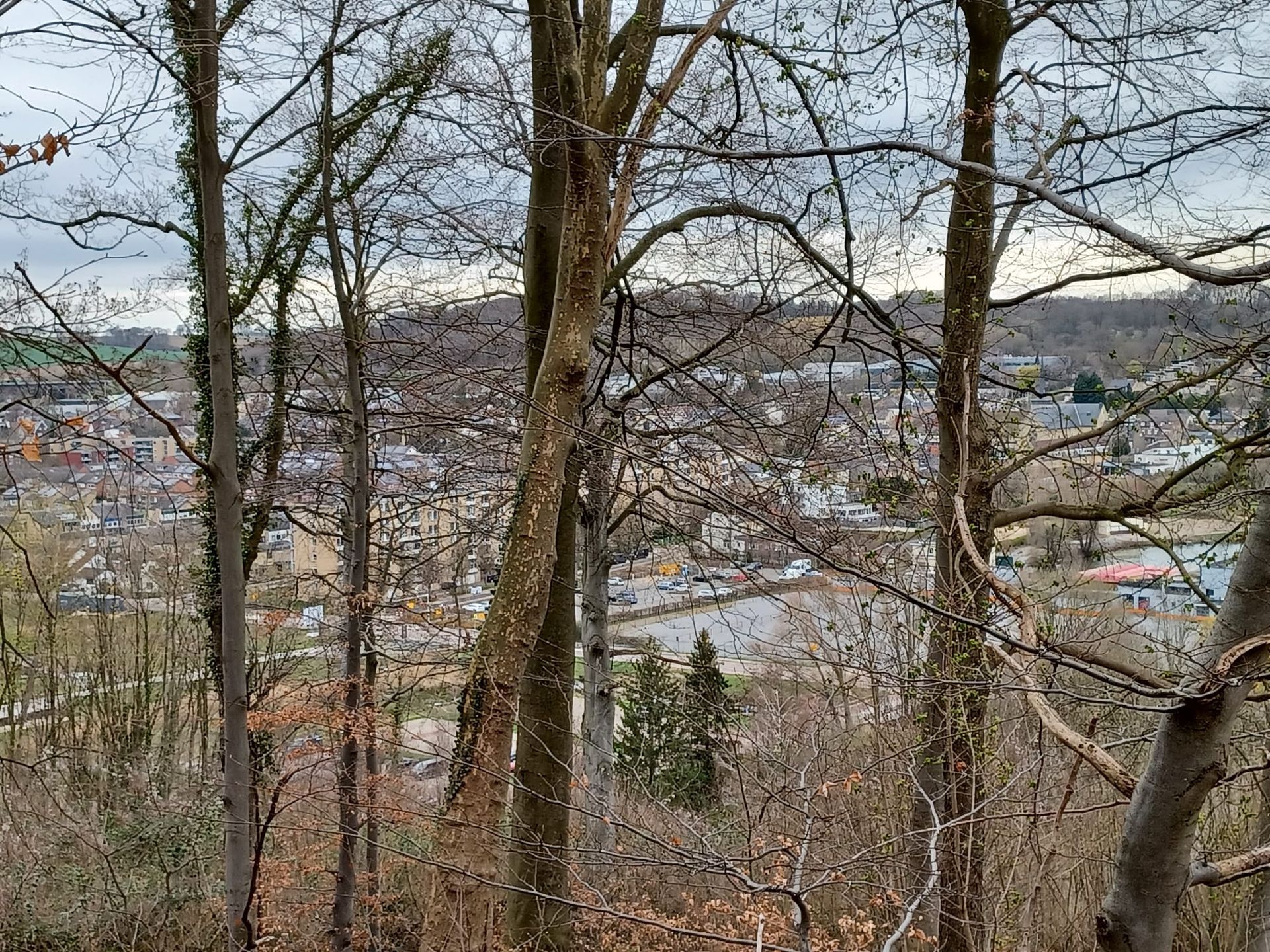 Uitzicht op een stad door kale bomen op een bewolkte dag.