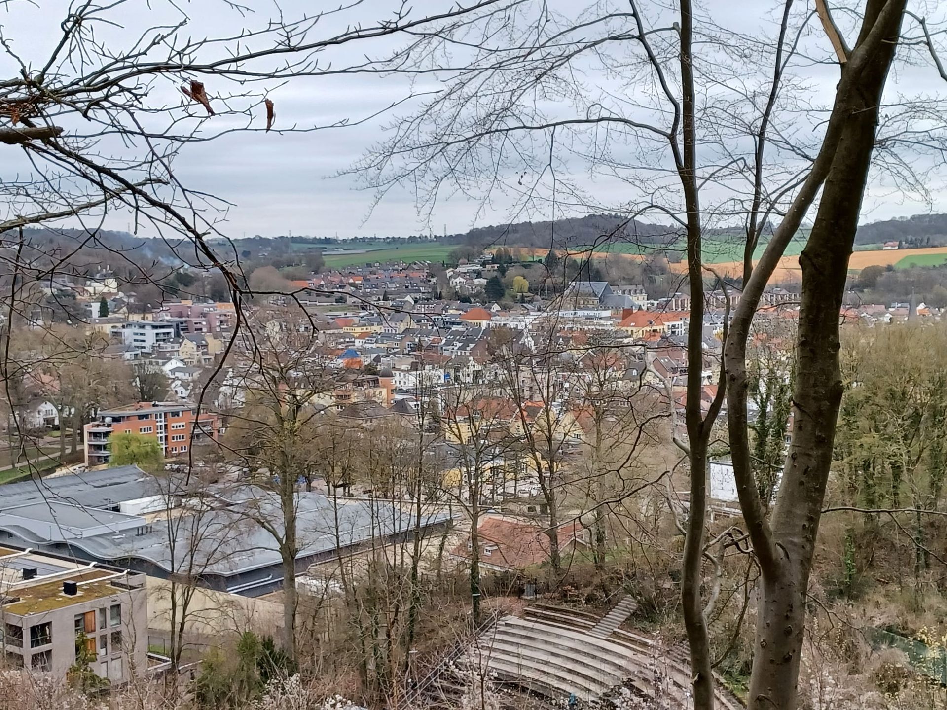 Uitzicht op een stad met daken en gebouwen, zichtbaar door de kale bomen op een bewolkte dag.