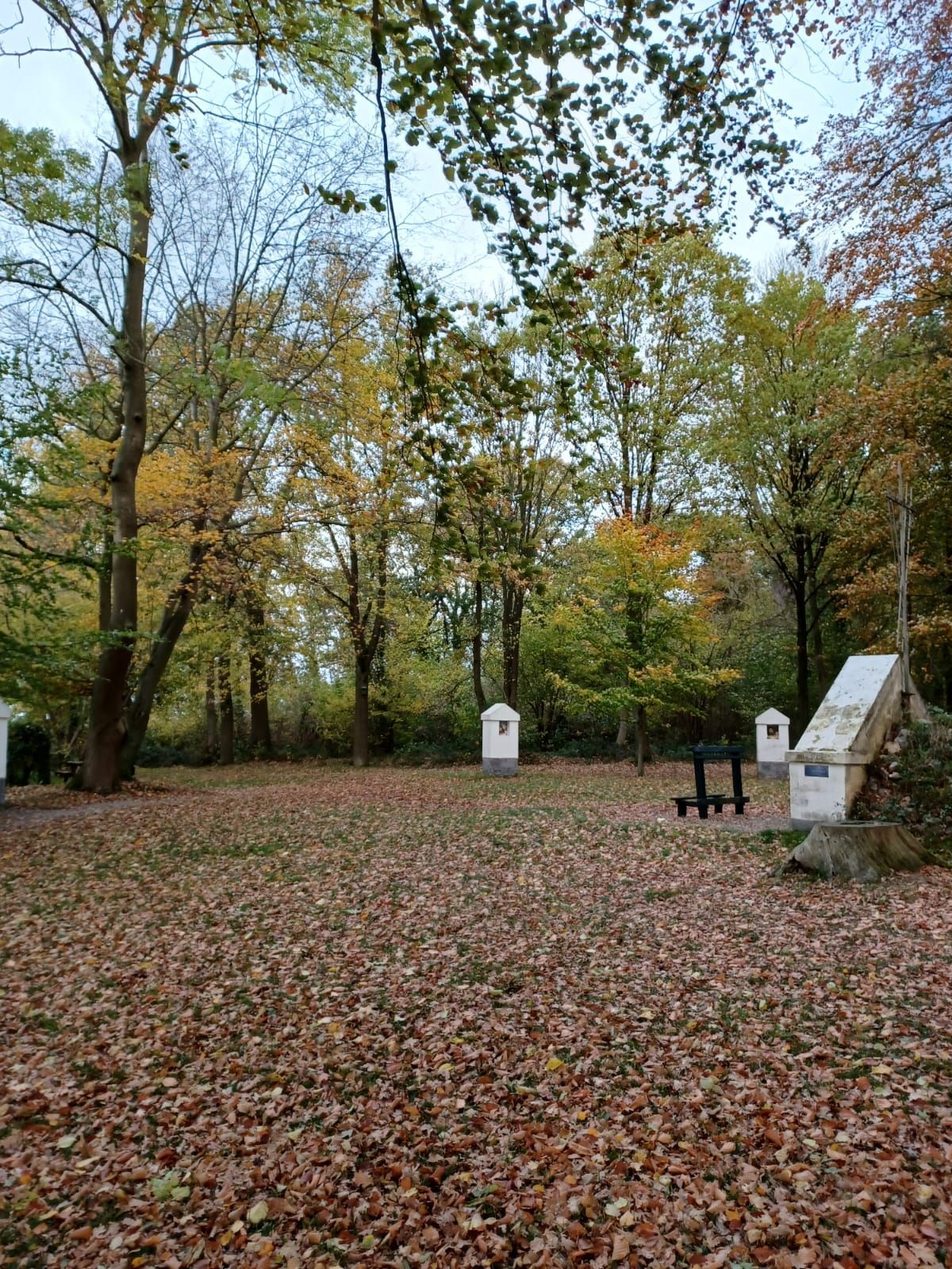 Herfsttafereel met gevallen bladeren, monumenten en bomen.