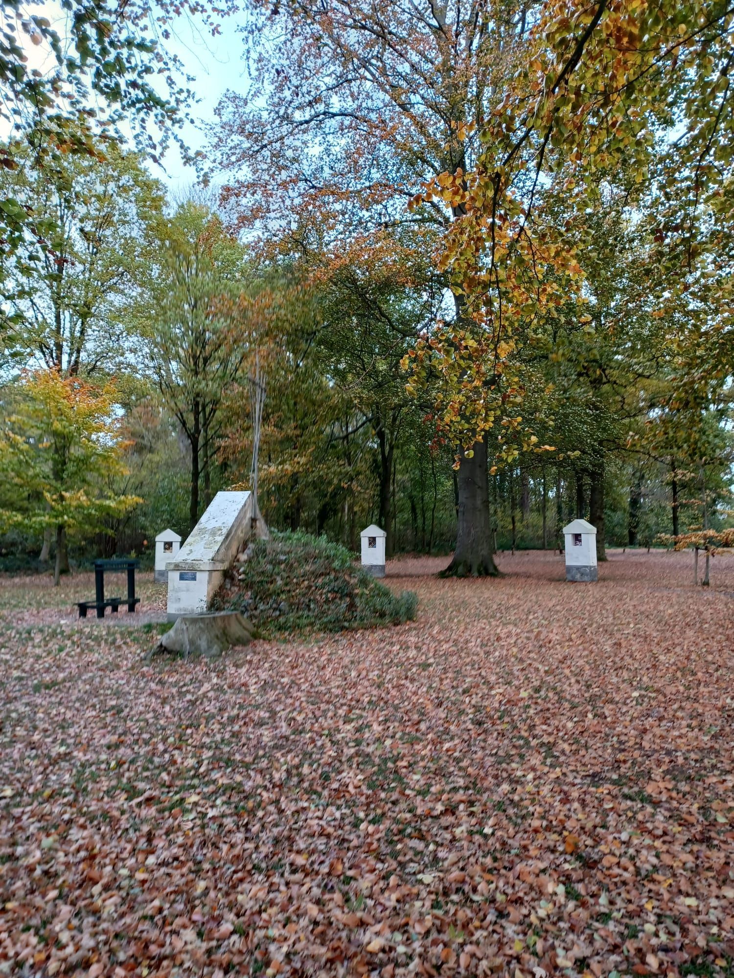 Een herfsttafereel in een park met monumenten, gevallen bladeren en bomen met kleurrijk loof.