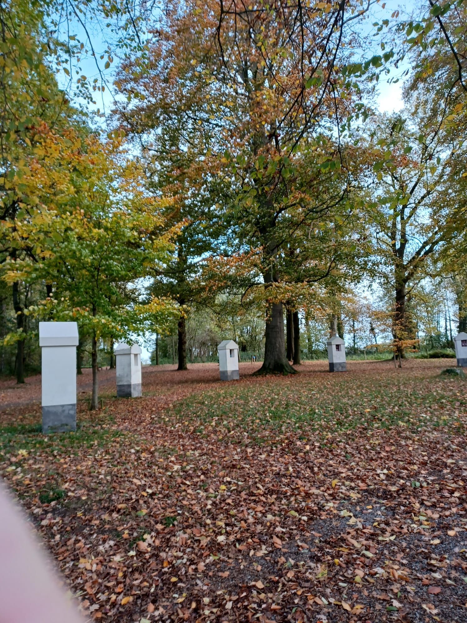Herfstbomen met gele bladeren en witte, pilaarachtige structuren op een met gevallen bladeren bedekt grasveld.