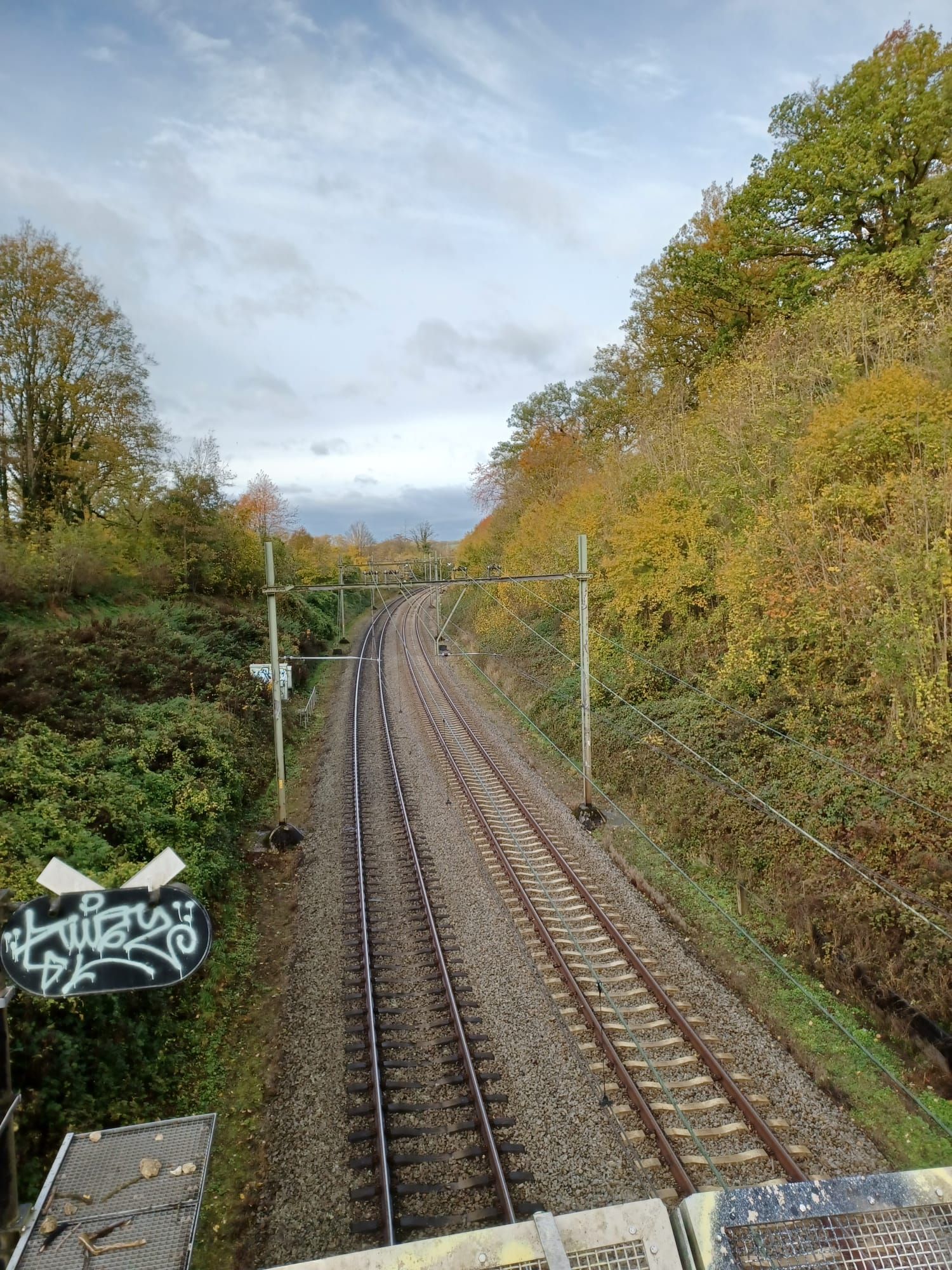 Spoorwegen kronkelen door een landschap, geflankeerd door bomen met herfstbladeren. Bovenleidingen en een bewolkte hemel.