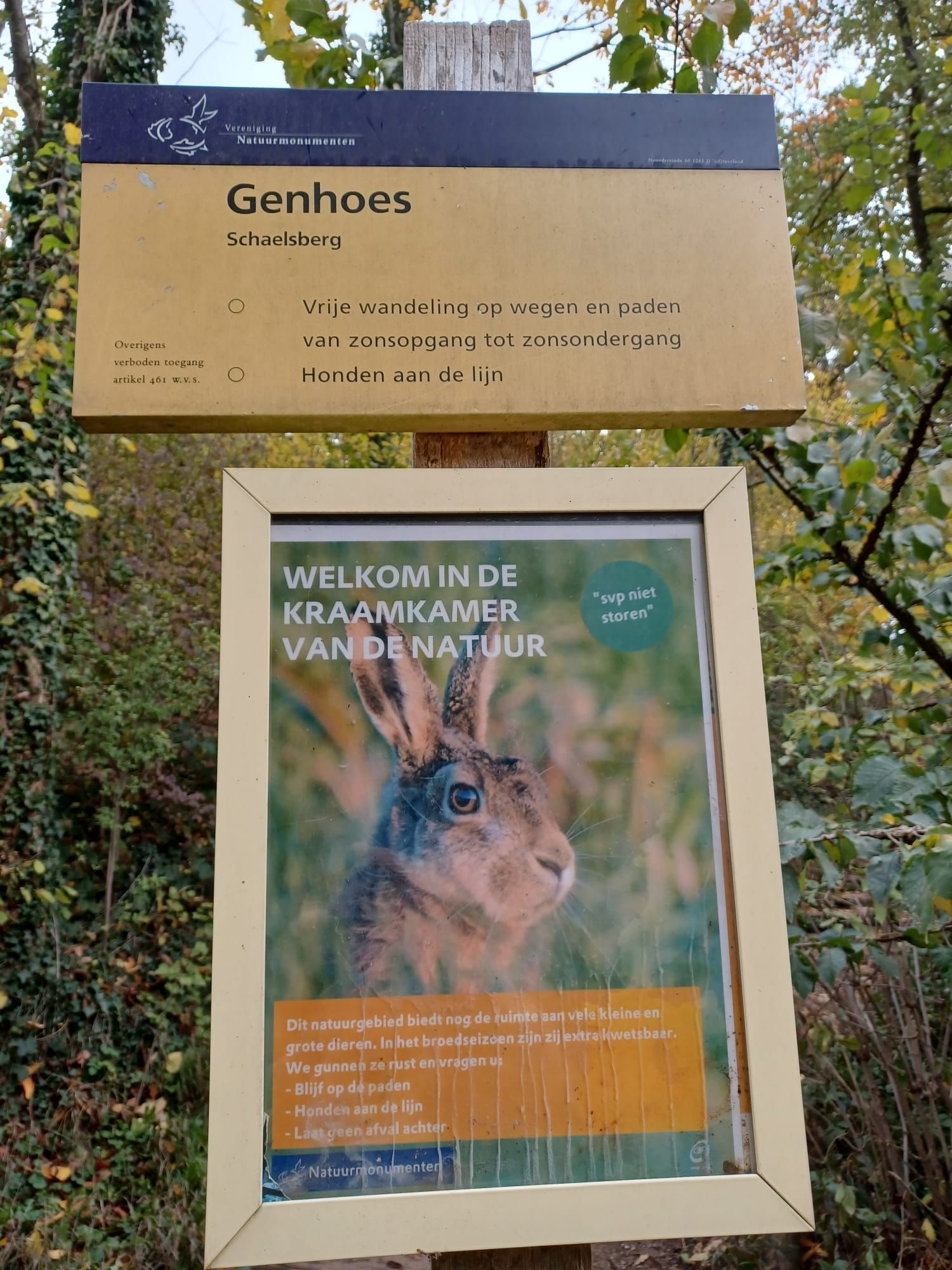 Bord in een bosrijk gebied: