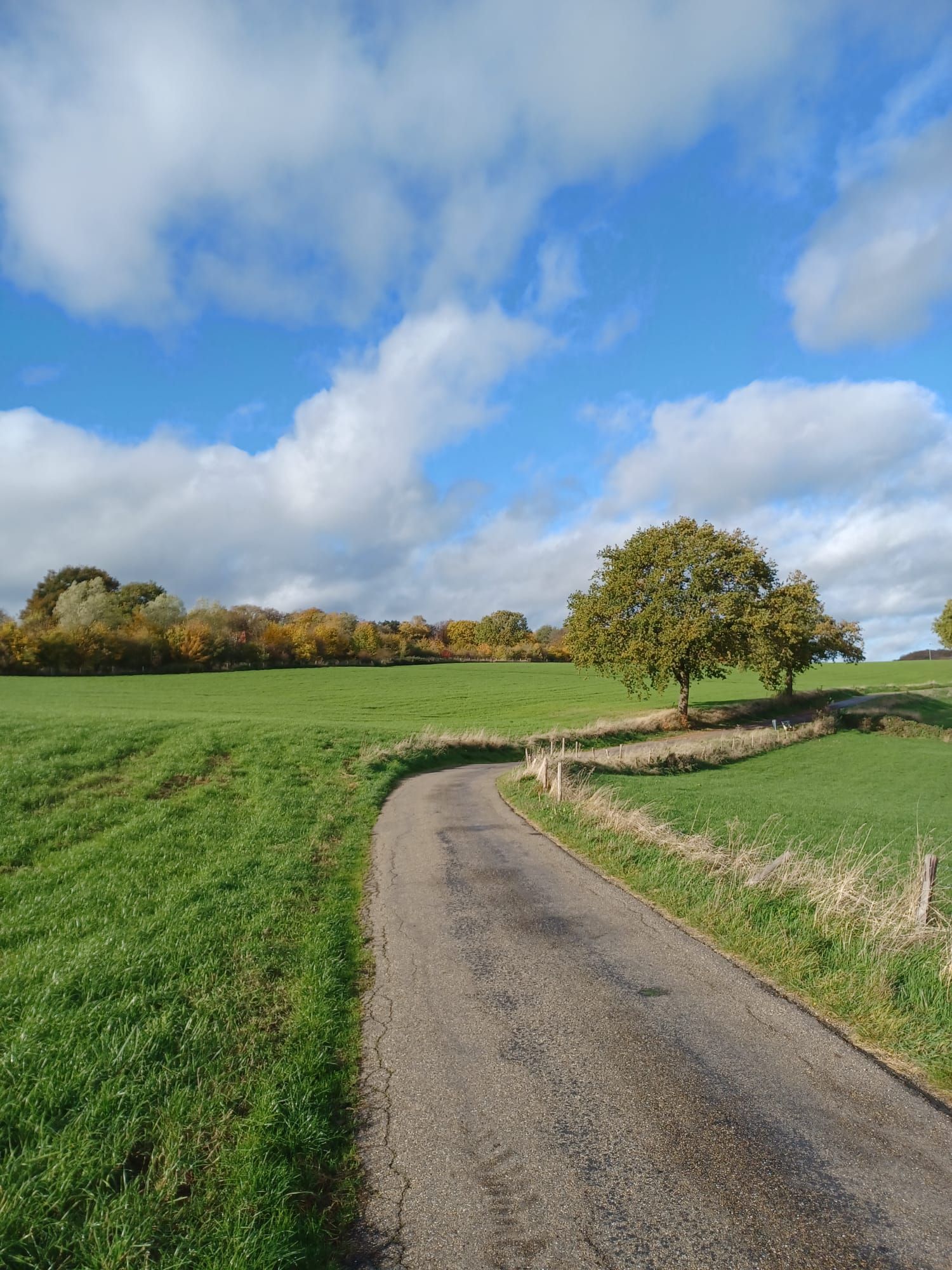 Een smalle weg kronkelt door groene velden, onder een blauwe hemel met hier en daar wat wolken. Bomen vormen de horizon.