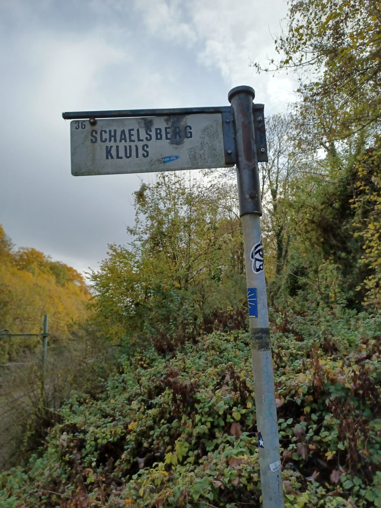 Wegwijzer: Schaelsberg Kluis, wijzend omhoog langs een pad, omgeven door begroeiing.
