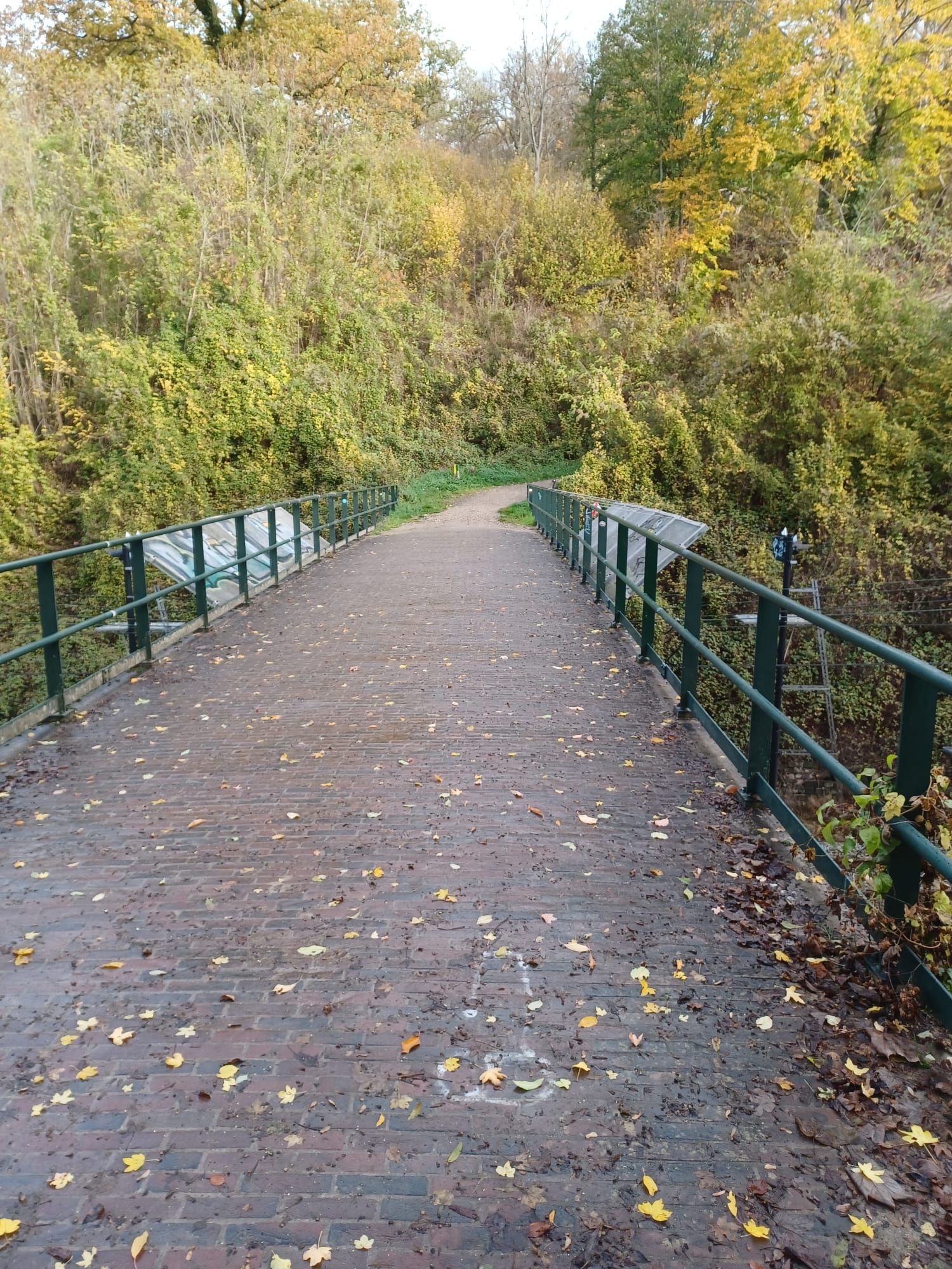 Brug over een pad in een bosrijk gebied; herfstbladeren op de grond. Groene leuningen en begroeiing.