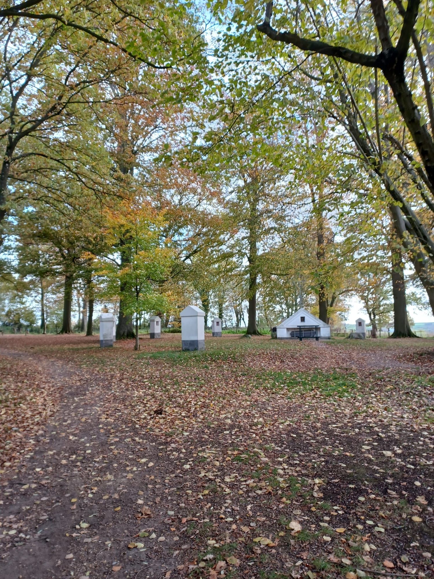 Een pad door een begraafplaats met witte grafstenen, omgeven door bomen met herfstbladeren.