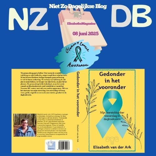 Blogbericht met de boekomslag
