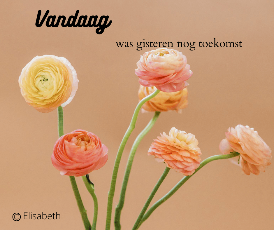 Bloemen in pastelkleuren tegen een perzikkleurige achtergrond met de Nederlandse tekst