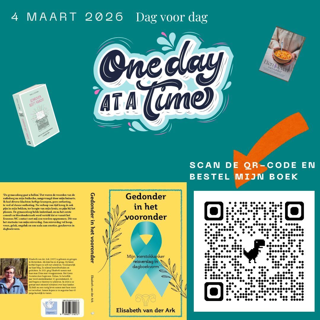 Heb jij mijn boek al besteld? Doen hoor... Promotieafbeelding voor een boek getiteld