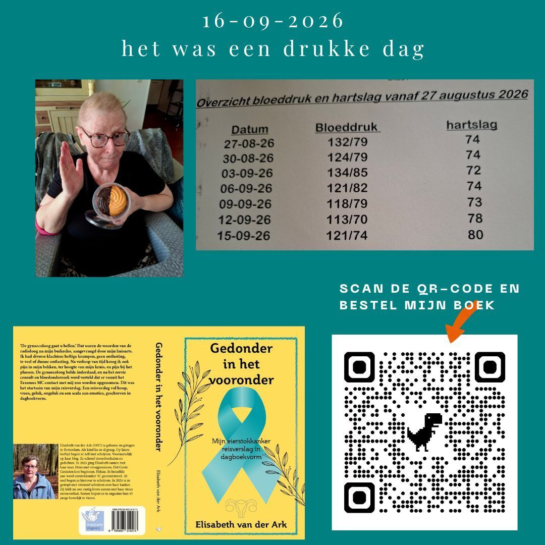 Heb jij mijn boek al besteld? Doen hoor... Teal Dutch promotieflyer met een vrouw, een statistische grafiek, drie boekomslagen en een QR-code om het boek te bestellen.