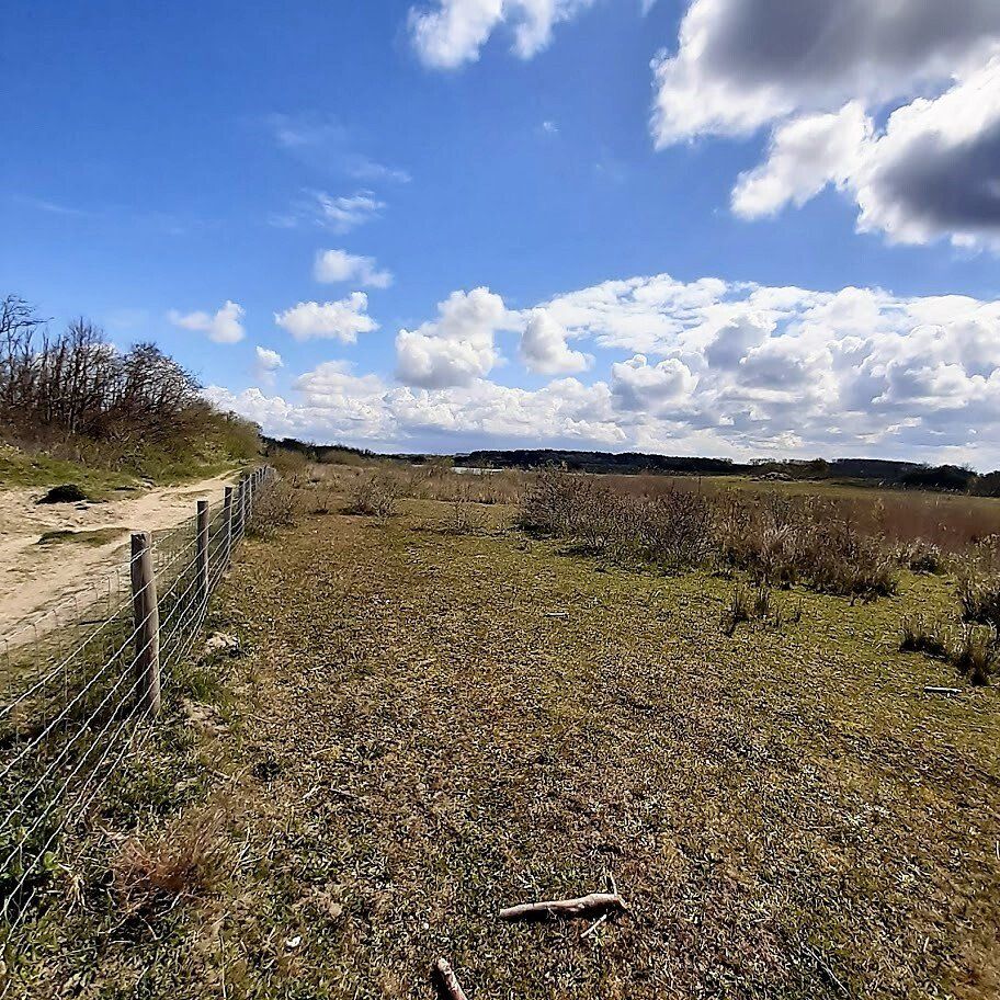Een landelijk landschap met een grasveld, een zandpad en een prikkeldraadhek onder een gedeeltelijk bewolkte hemel.