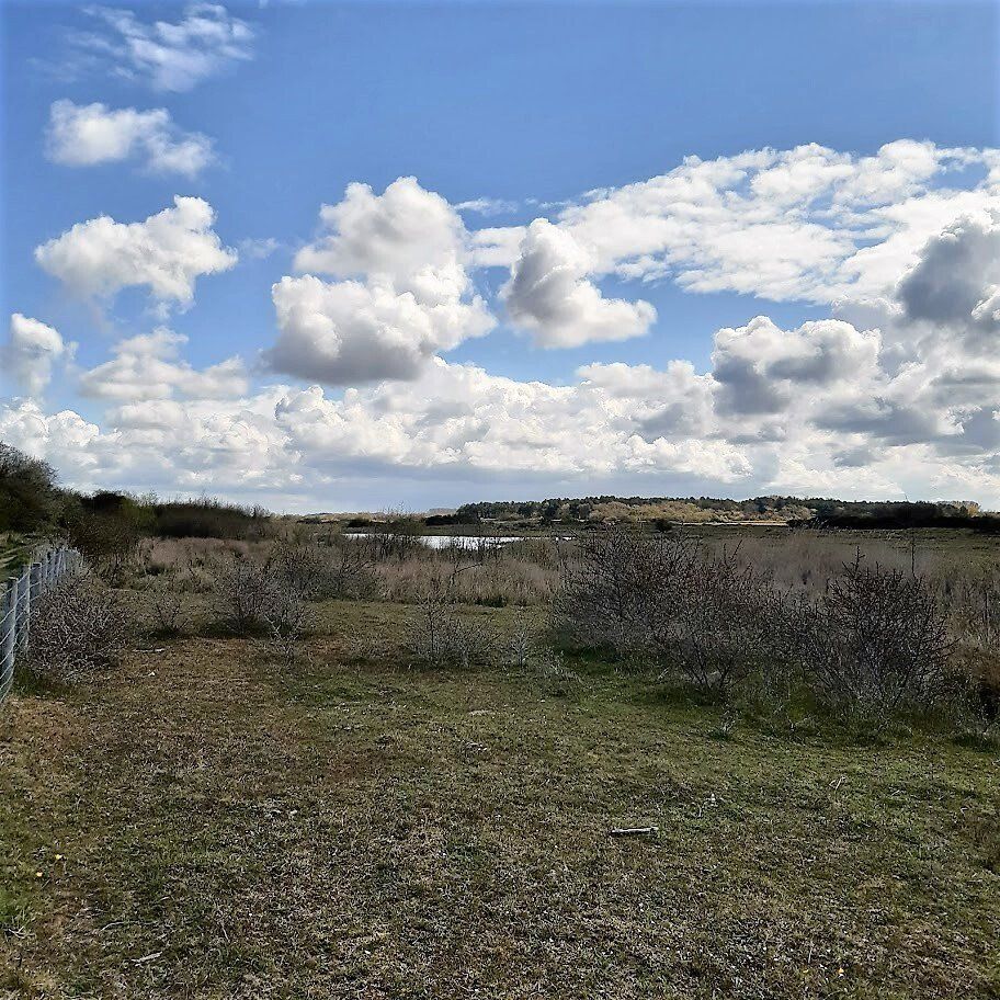 Grasveld met struiken en een bewolkte hemel, water in de verte.