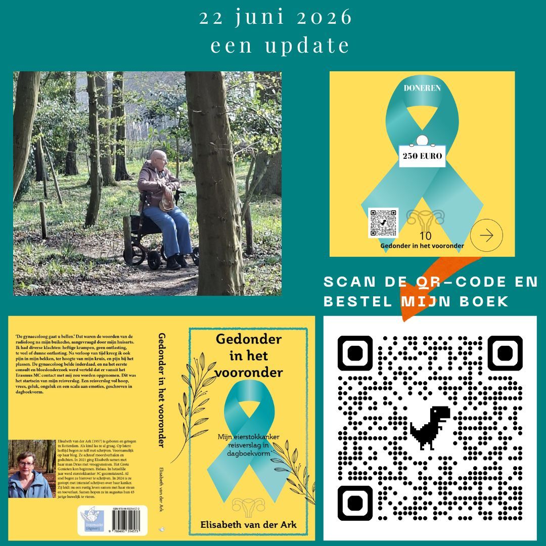 Heb jij mijn boek al besteld? Doen hoor... Turquoise poster in het Nederlands met een bosfoto, boekomslag en QR-code; de tekst luidt:
