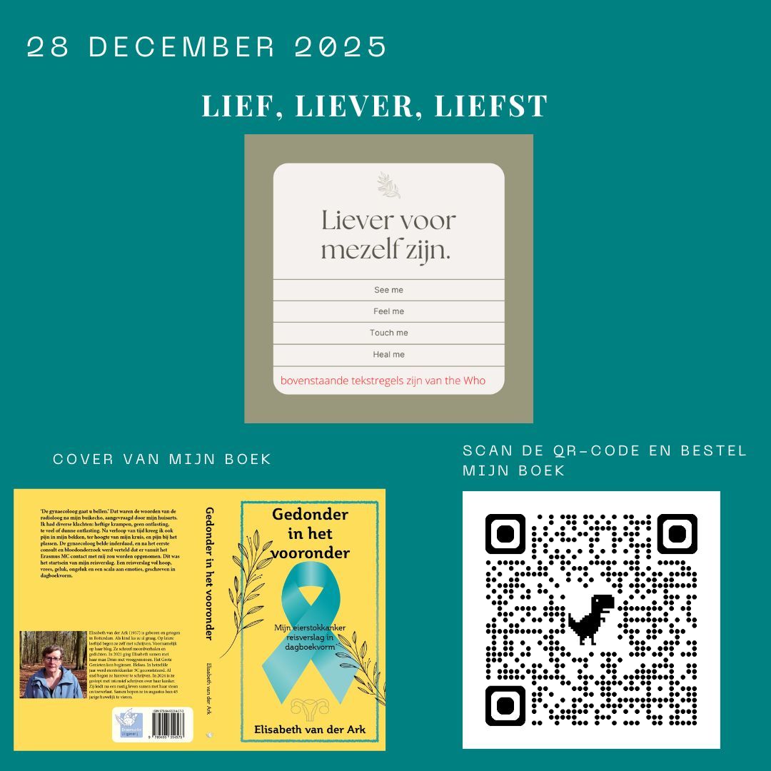Heb jij mijn boek al besteld? Doen hoor... Promotional graphic for a book. Teal background, book cover, QR code, and text