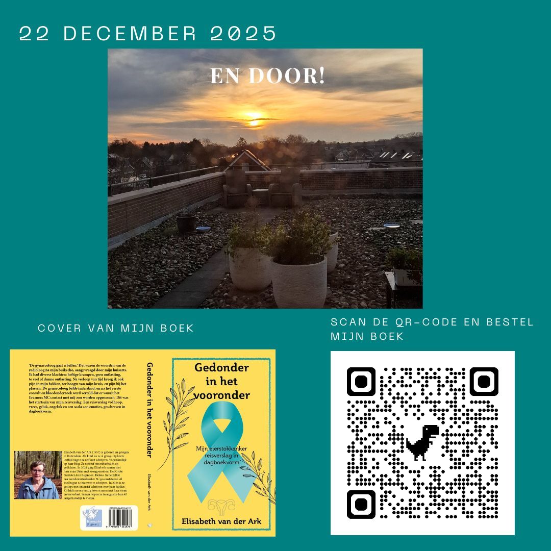 Heb jij mijn boek al besteld? Doen hoor... Een promotieafbeelding voor een boek. Bevat een foto van een zonsondergang, de boekomslag en een QR-code met tekst in het Nederlands.