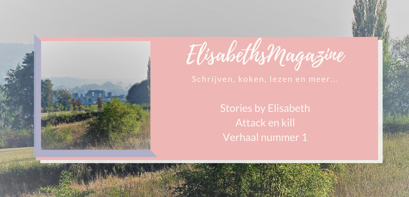 Tijdschriftomslag met landschapsfoto en tekst: Elisabeths Magazine, Verhalen van Elisabeth, Aanval en kill, Verhaal nummer 3.