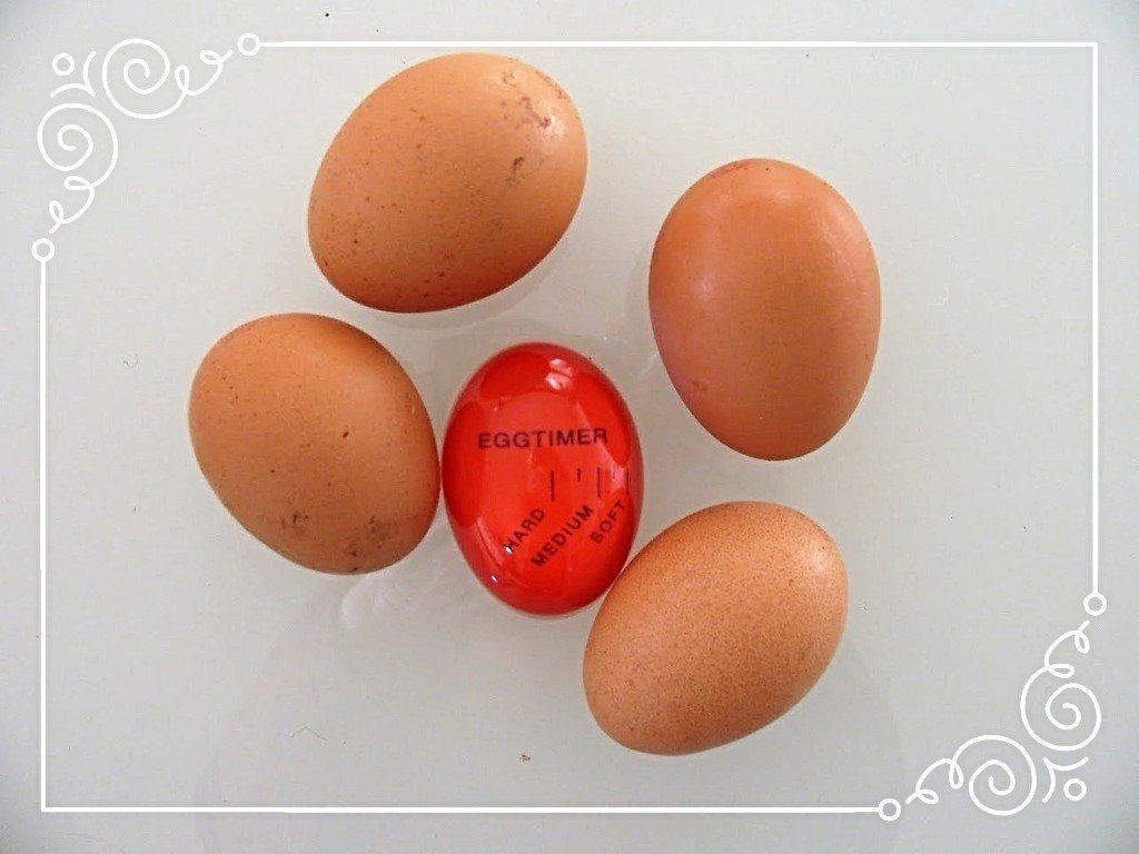 Vijf bruine eieren omringen een rode eierwekker op een witte ondergrond.