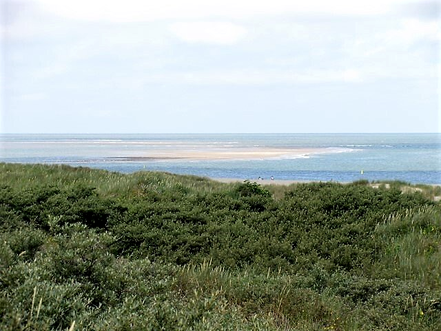 Groene struiken op een duin bieden uitzicht op een zandstrand en de kalme oceaan onder een blauwe hemel.