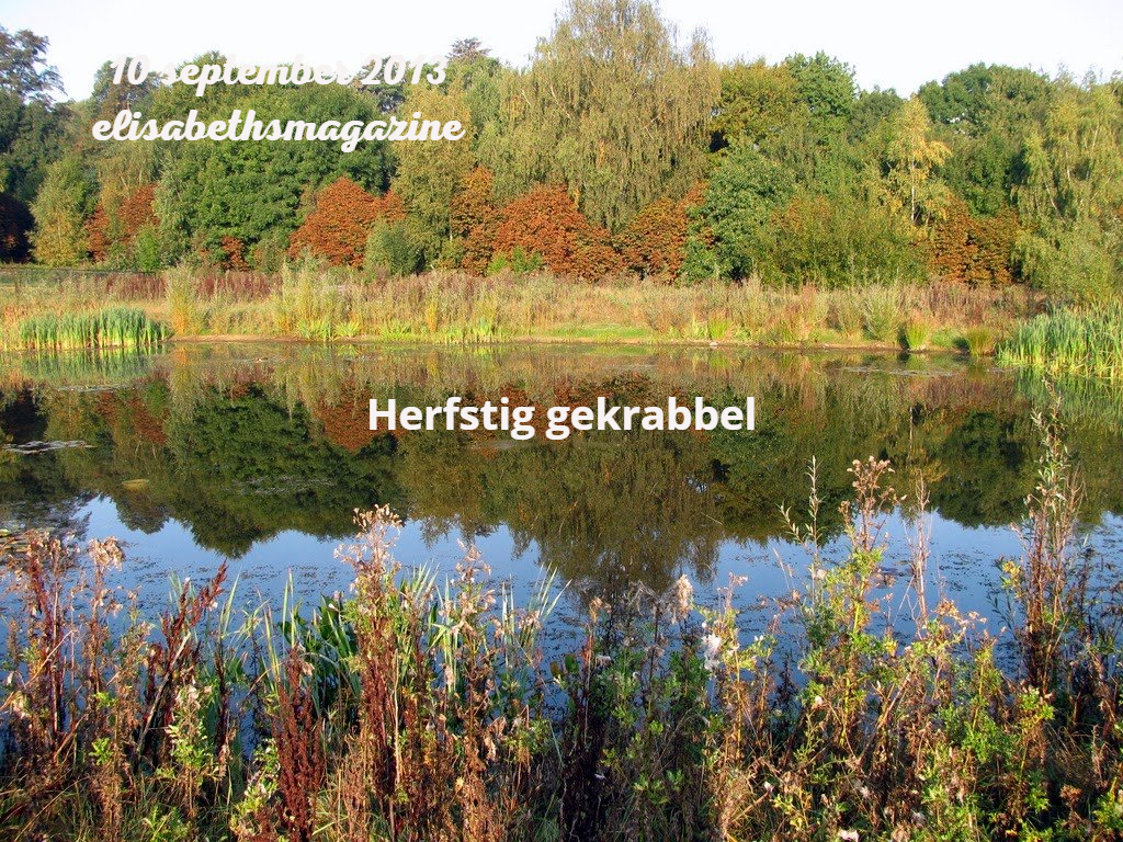Meer met bomen die in het water weerspiegelen; herfstbladeren.
