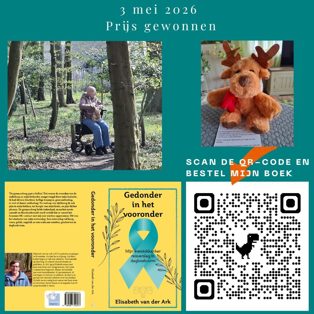 Heb jij mijn boek al besteld? Doen hoor... Nederlandse poster op een turquoise achtergrond met drie cartoonachtige tumoren, een kale vrouw in het bos, een QR-code en een voorproefje van de boekomslag.