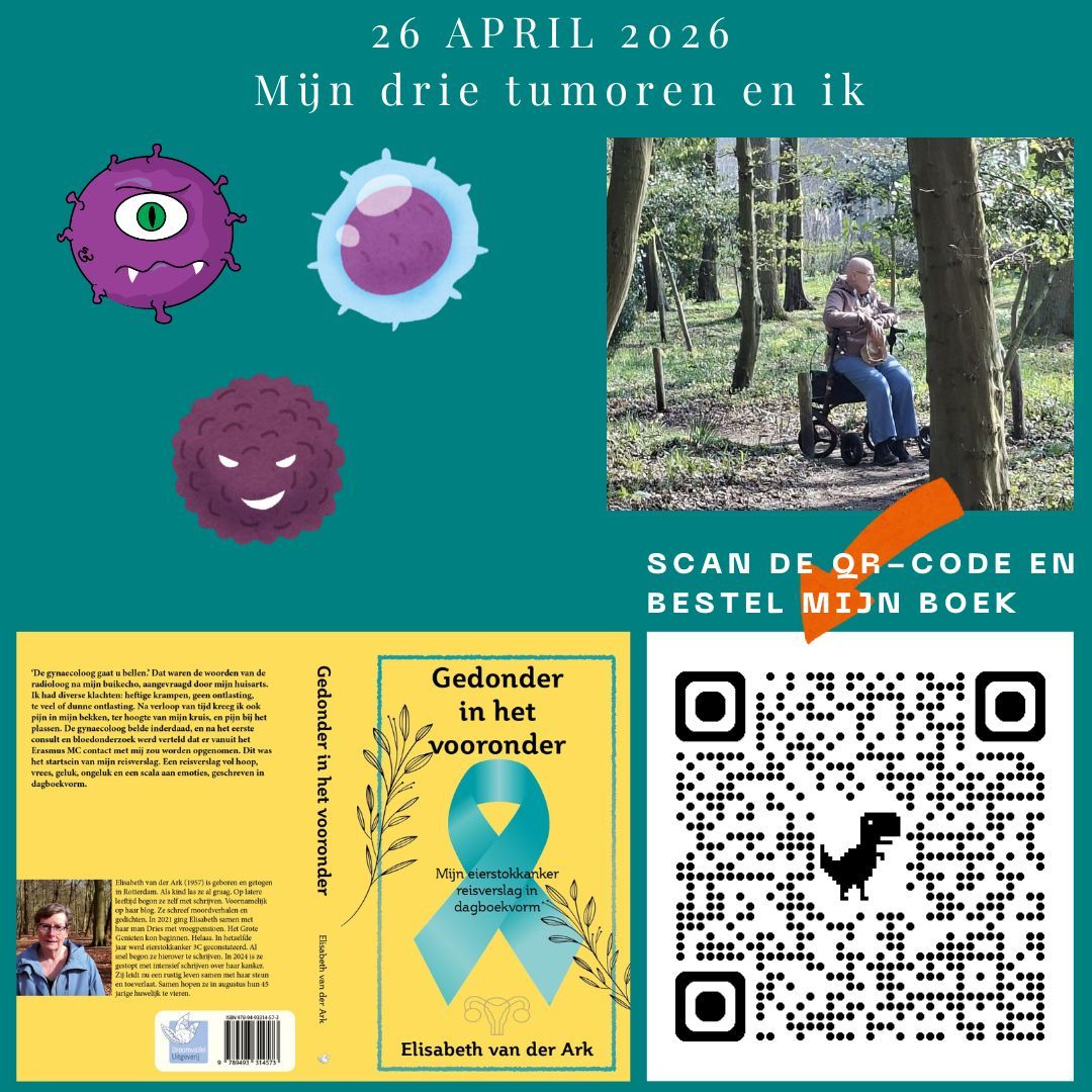 Heb jij mijn boek al besteld? Doen hoor... Nederlandse poster op een turquoise achtergrond met drie cartoonachtige tumoren, een kale vrouw in het bos, een QR-code en een voorproefje van de boekomslag.