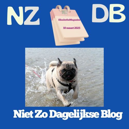 Pug running in water, with a calendar for 10 maart 2025 and