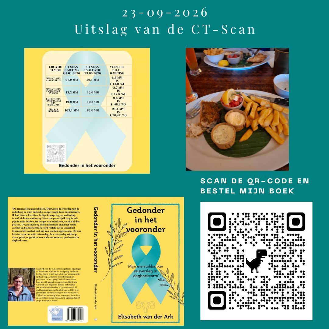 Heb jij mijn boek al besteld? Doen hoor... Collage van een Nederlandse poster met een gele flyer, een foto van eten, een QR-code en de tekst