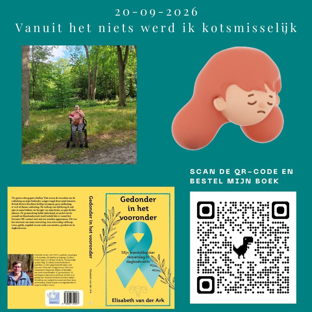 Heb jij mijn boek al besteld? Doen hoor... Poster met boekomslag, QR-code, Nederlandse titeltekst en een huilend cartoongezichtje op een teal achtergrond.
