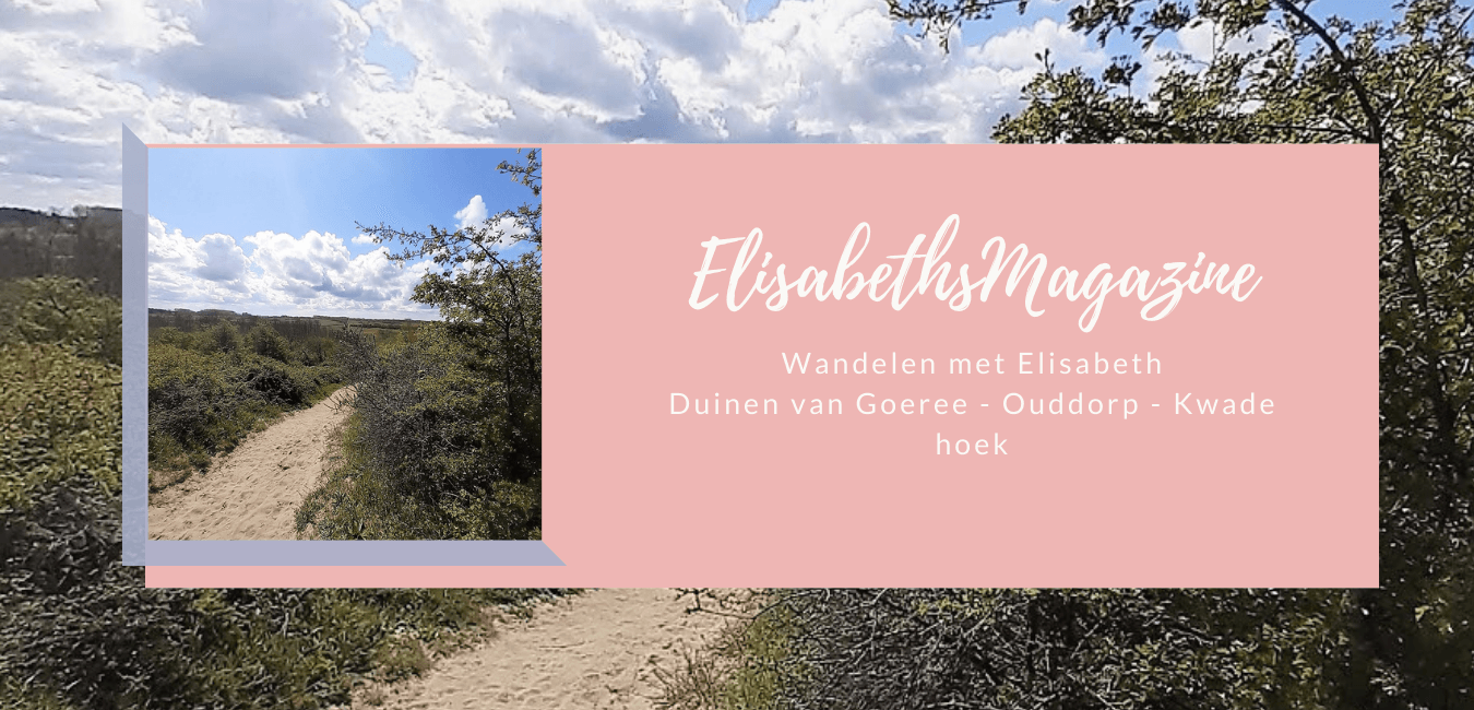Een zandpad door struiken, een blauwe lucht met wolken. Een roze tekstvak met het logo van 