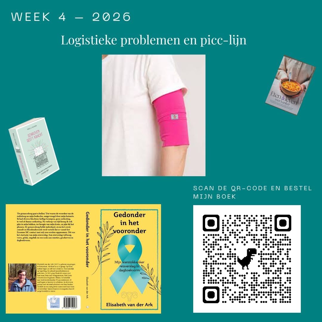 Heb jij mijn boek al besteld? Doen hoor... Collage met een roze armsteun, boekomslag, eten en QR-code op een turquoise achtergrond.