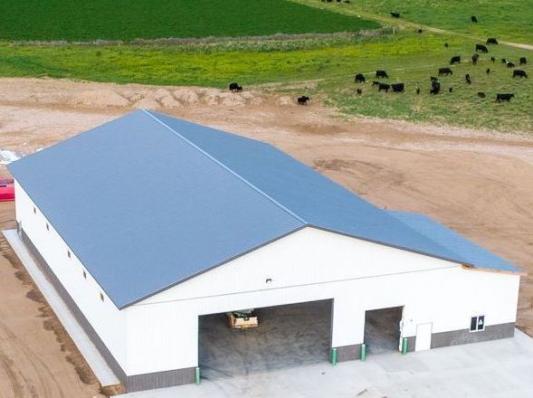 White agricultural building with a gray roof and open bays; cattle graze in the background.