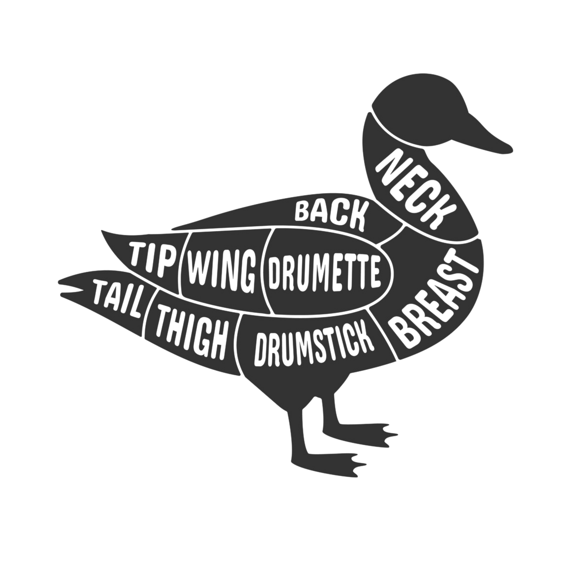 duck