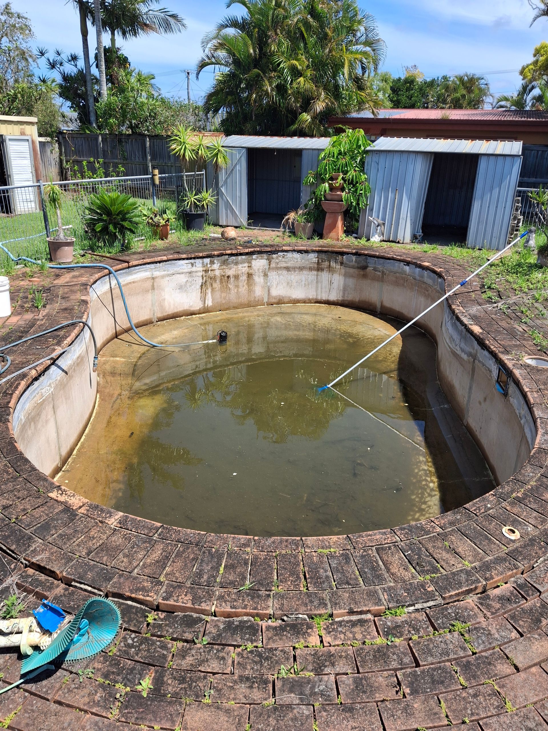 An empty, murky swimming pool surrounded by brick paving and overgrown vegetation.