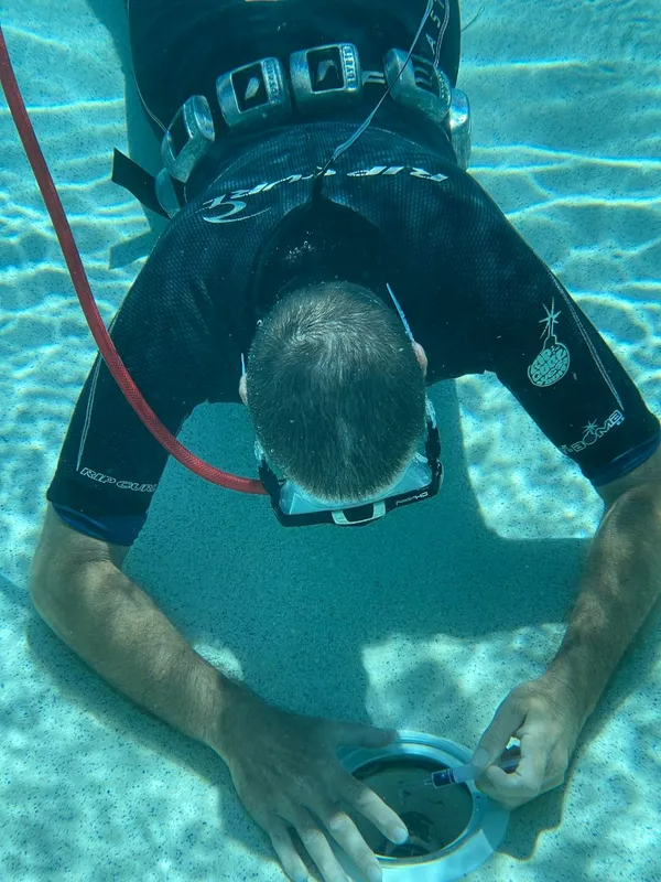 Scuba diver examines underwater object on the sandy ocean floor.