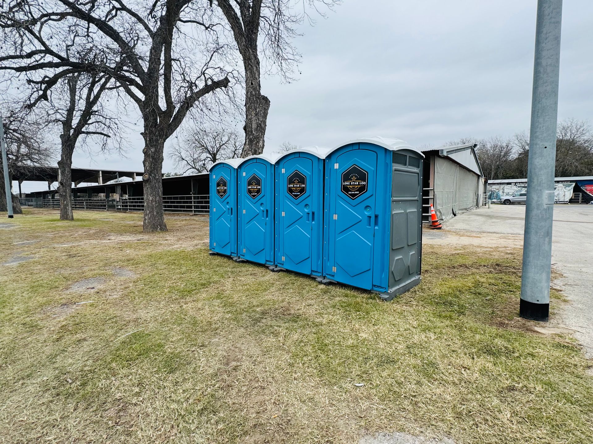 Four blue portable toilets on a grassy lot beside leafless trees and a utility pole